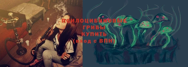 эйфоретик Гусиноозёрск