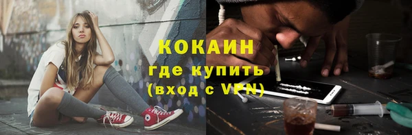 прущие крисы Горняк