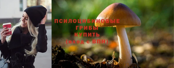 прущие крисы Горняк