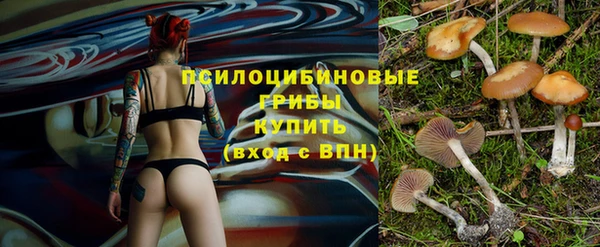 эйфоретик Гусиноозёрск